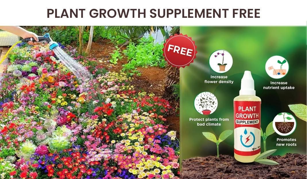 Colorful Flower Seeds (Pack of 100) with Growth Supplement