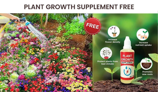 Colorful Flower Seeds (Pack of 100) with Growth Supplement