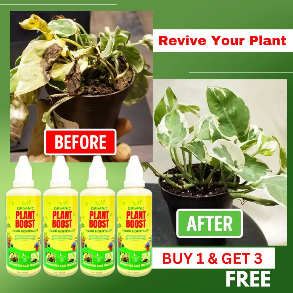 Organic Plant Boost Liquid Bio fertilizer (Pack of 4)