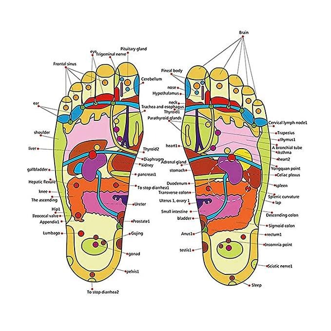 Acupressure and Magnetic Therapy Paduka Slippers